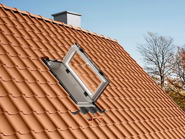 Roof Access Windows